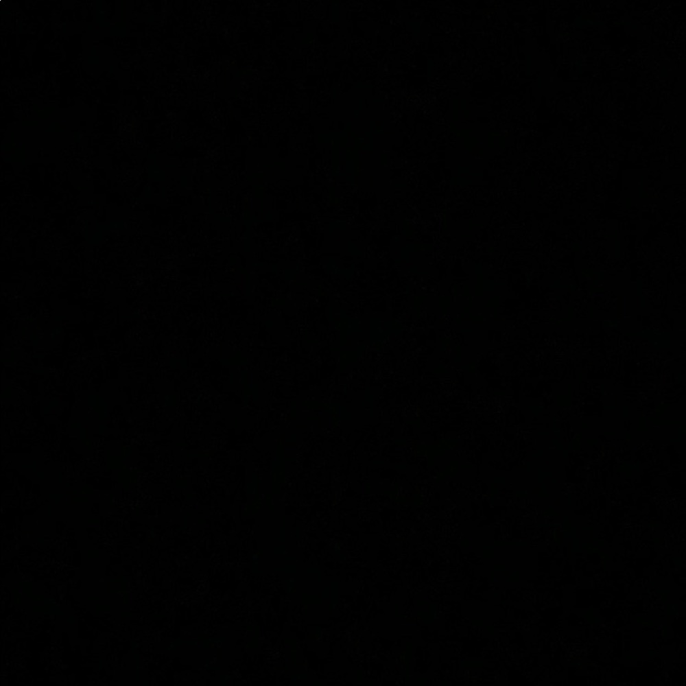 Meet your Posher, Payton